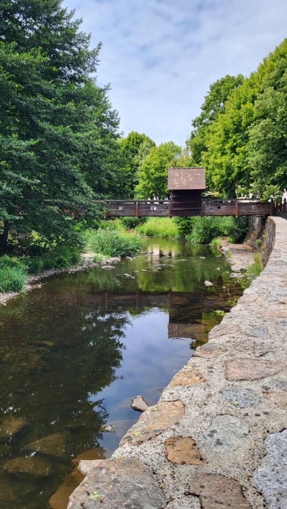 Gite Violette Et Pierrot Masevaux-Niederbruck Exteriör bild