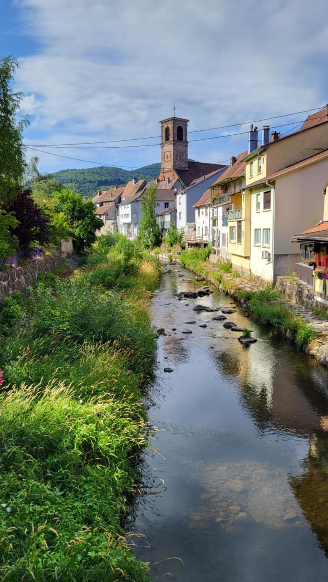 Gite Violette Et Pierrot Masevaux-Niederbruck Exteriör bild