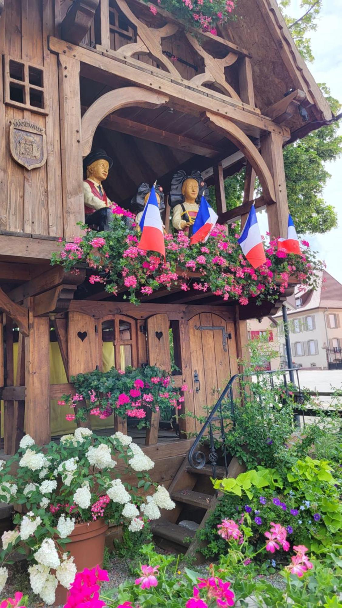 Gite Violette Et Pierrot Masevaux-Niederbruck Exteriör bild