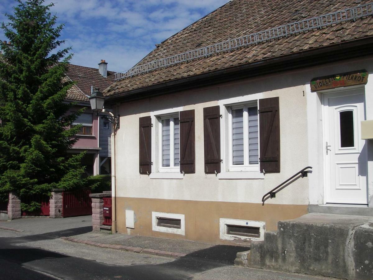 Gite Violette Et Pierrot Masevaux-Niederbruck Exteriör bild