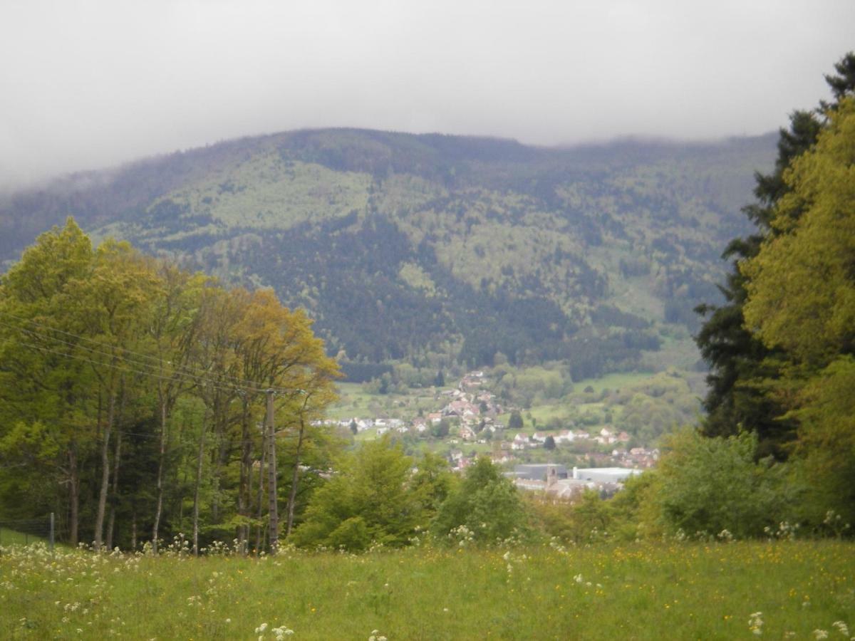 Gite Violette Et Pierrot Masevaux-Niederbruck Exteriör bild